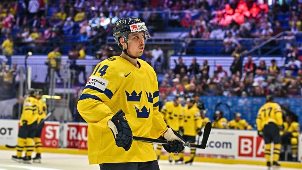 Joel Eriksson Ek